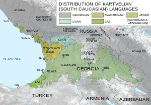 south caucasian kartvelian languages
